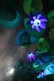 Kez Howell Woodford Festival Blue Lotus lights